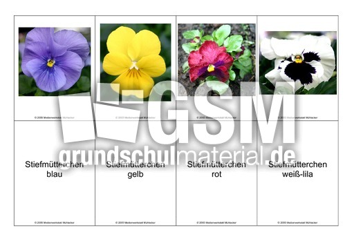 Blumen-Memo-Aufdeckspiel-9.pdf